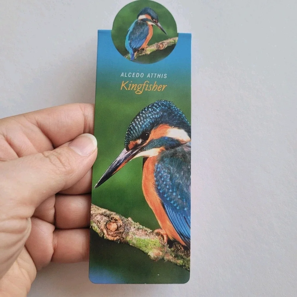 Cardmarks Kingfisher Bird Wild Nature Magnetic Magnet UK Company If 2402 Y2k 00s